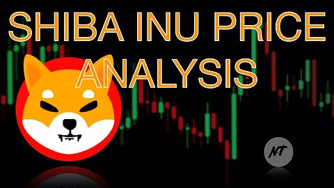 SHIBA INU analysis