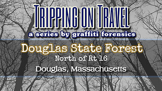 Tripping on Travel: Douglas State Forest, Douglas, MA