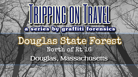 Tripping on Travel: Douglas State Forest, Douglas, MA