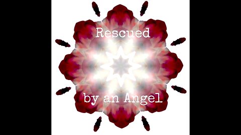 Soul Message - Rescued by an Angel