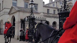 Horse taking back in NHS protest #horseguardsparade