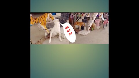 Wow Nice Fake Tiger Prank Dog! Dog Run Very Funny Prank Video