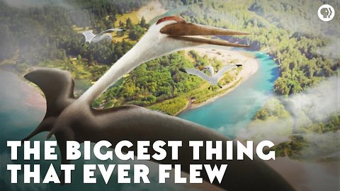 The Biggest Thing That Ever Flew