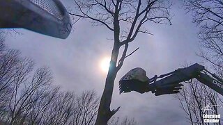 Dropping Trees with an Excavator, and perspectives on the current situation...
