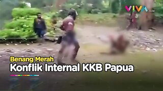 Benang Merah Terjadinya Perang Saudara di Dalam KKB Papua