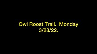 Owl Root Trail