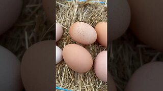 These eggs are so pretty🥚 #fresheggs #chickens #farmlife #fy #fyp #homestead #farmtotable #home