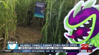 Murray Family Farms starts their October Fun Fest