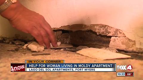 Help for Woman Living in Moldy Apartment
