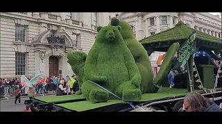 St Patrick's day celebrations Green bears 🐻 #london