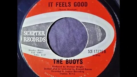 The Buoys, Howard Reeves - It Feels Good
