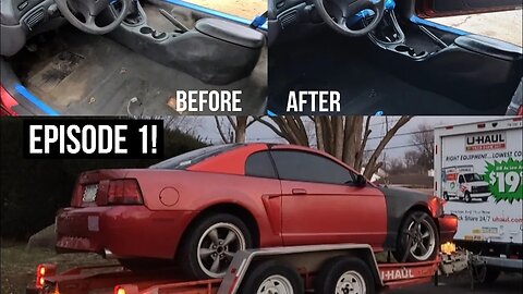 Bringing a $600 Mustang Back to Life!! Episode: 1 (insane interior transformation)