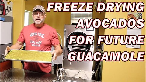 Freeze drying mashed avocados for future guacamole