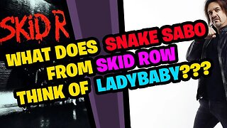 What does SNAKE SABO from SKID ROW think of LADYBABY???