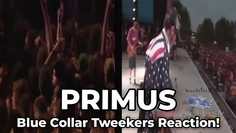 🎵 Primus - Those Damned Blue-Collar Tweekers (Live from Woodstock '94) REACTION