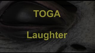 TOGA Laughter #shorts