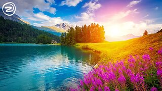 Beautiful Relaxation Meditation Music Compilation (Long Play) For Deep Relaxation and Sleep