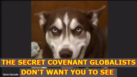 GENE DECODE: THE SECRET COVENANT GLOBALISTS DON'T WANT YOU TO SEE