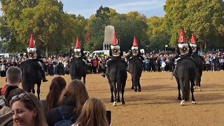 Blues and royals inspection horse guards parade #horseguardsparade