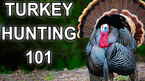 How To Start Turkey Hunting
