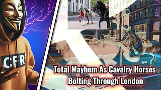 Total Mayhem As Cavalry Horses Bolting Through London