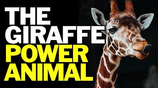 Giraffe Power Animal