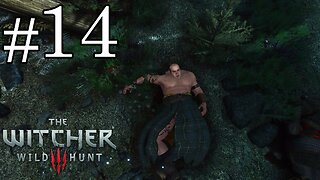 Tthe Witcher 3: Wild Hunt - Parte 14: Novigrad e Além: Exploração e Missões Secundárias