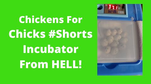 The Incubator From Hell #Shorts
