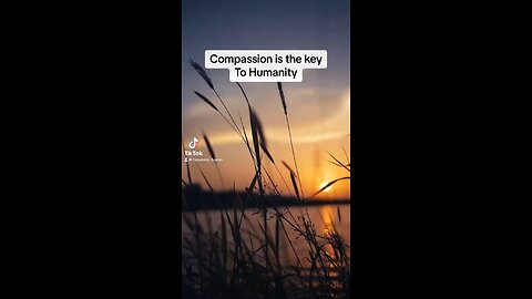 Compassion is the Key to Humanity