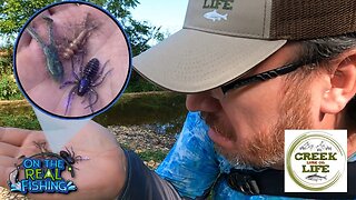 Can These STRANGE Hairy Baits Catch ANY Creek Fish?