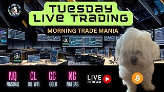 Tuesday Futures Live Trading - PnL PreMarket: 1,399