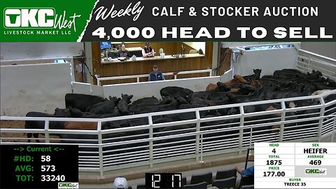 1/3/2023 - OKC West Calf and Stocker Auction