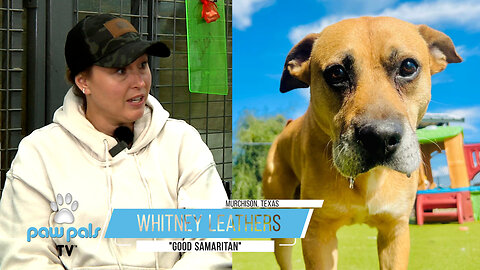 Paw Pals TV: Good Samaritan Whitney Leathers helps Bentley!