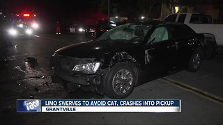 Limo crashes into vehicles after swerving to avoid cat