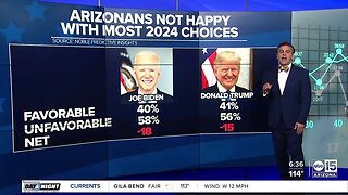 POLL: Most AZ voters are not happy with choices for higher offices