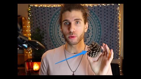 Lucid Dream With A Pine Cone (Object Anchoring Hack)