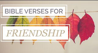 Bible verses on Friendship 2