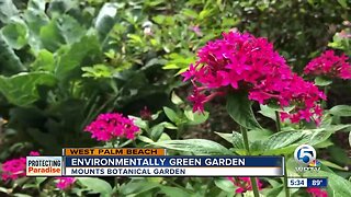 Environmentally green garden