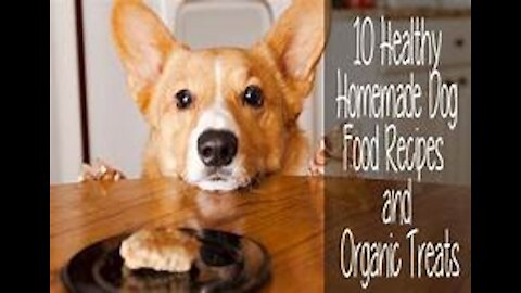 homemade healthy and tasty foods for your pets