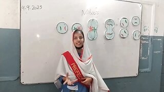 Mitosis by Rida Afzal Grade 8th.#beautiful #model #teaching #mitosis #science #motivation #students