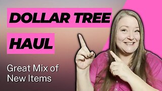 Dollar Tree Haul ~ Great Mix Of New Items ~ Everything's $1.25