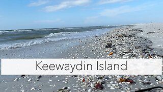 Hunting Florida Shells on an island. Virtual Shell Trip to Keewaydin Island.