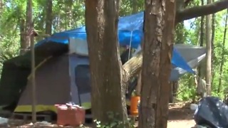 Sheriff responds to homeless camp near bus stop in Martin County