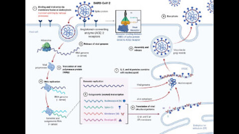 COVID-19 Therapeutics: Why Are They Being Suppressed?