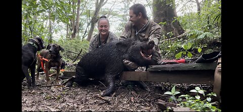 Mystic mountain boar with a small dog