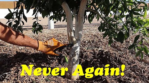 Saving Young Trees From Trunk Damage | IV Organics Discount Code