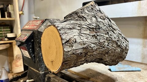 Wood Turning - olive wood crotch