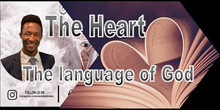 The heart, the language of God | 04/11/2024