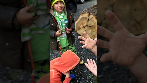 How to Find a Four Leaf Clover on Saint Patricks Day! #fourleafclover