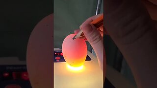 Candling Goose Eggs Day 14